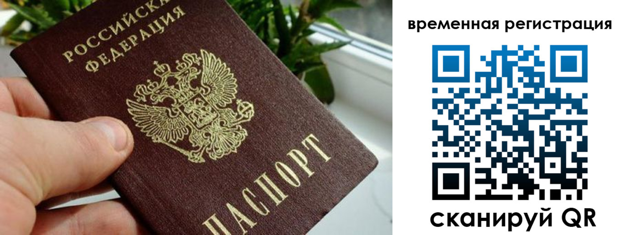 прописка поиск в Гвардейске